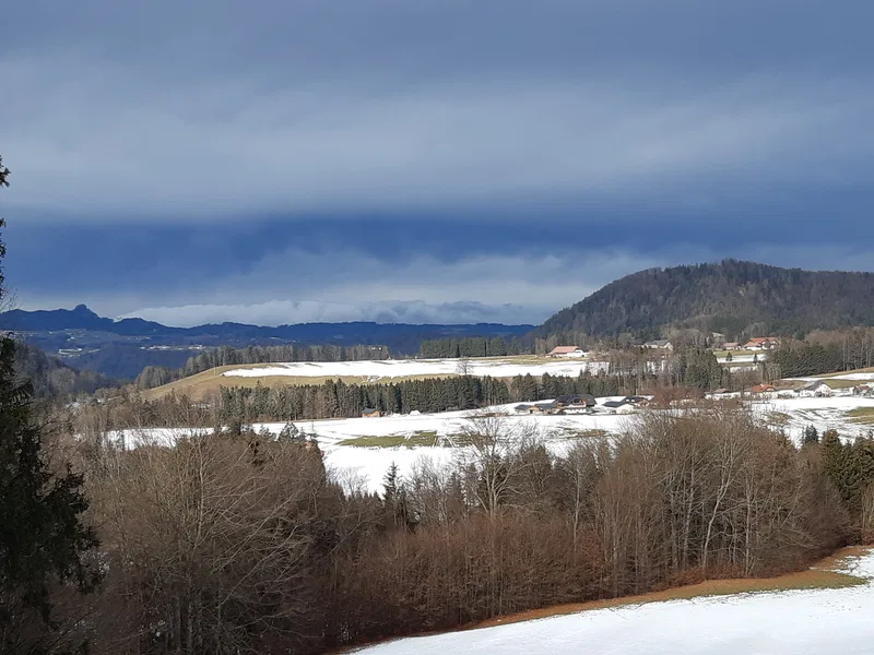 Weather & climate