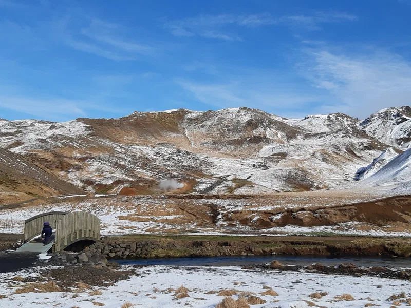 Glaciation & cold environments
